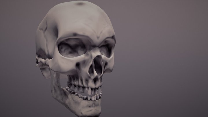 CRANEO PRÁCTICA 3D Model
