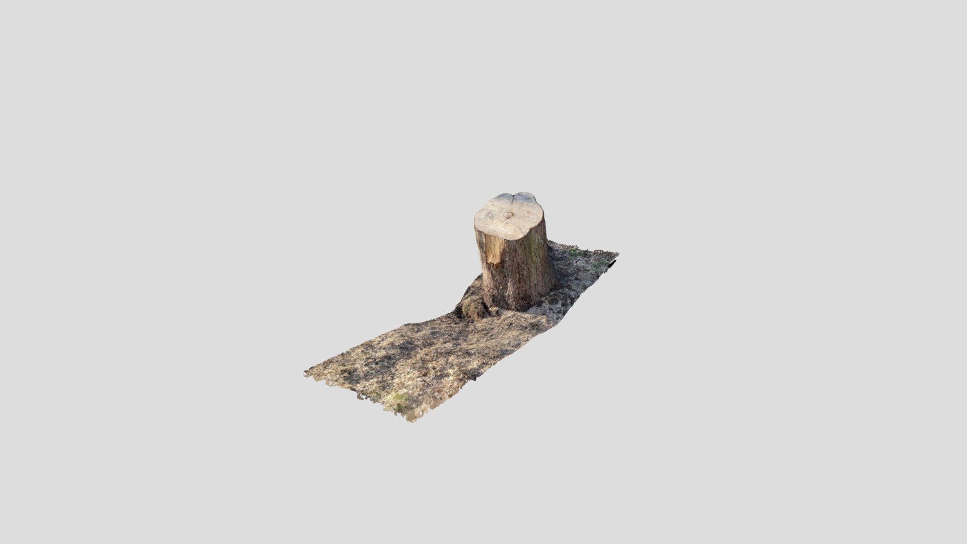 Trunk