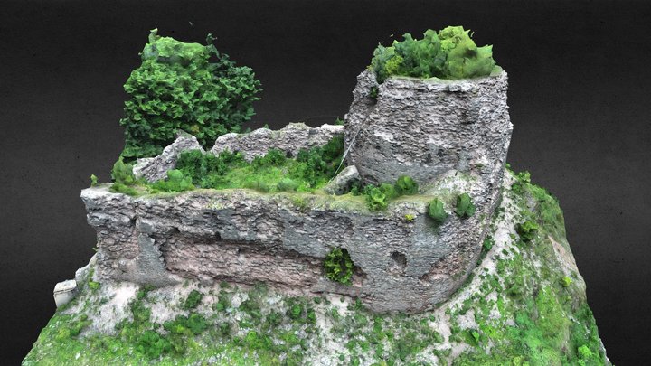 Zřícenina hradu Frymburk 3D Model