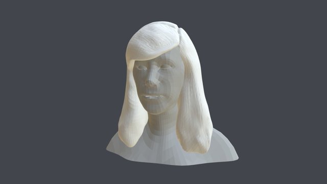 Bust Sculpt Low 3D Model
