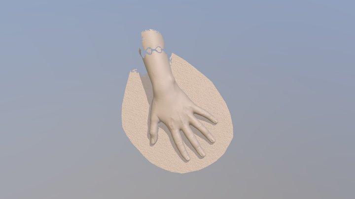 Diana_Hand_D 3D Model