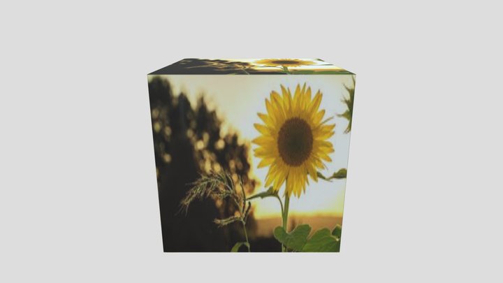 Imagebox 3D Model