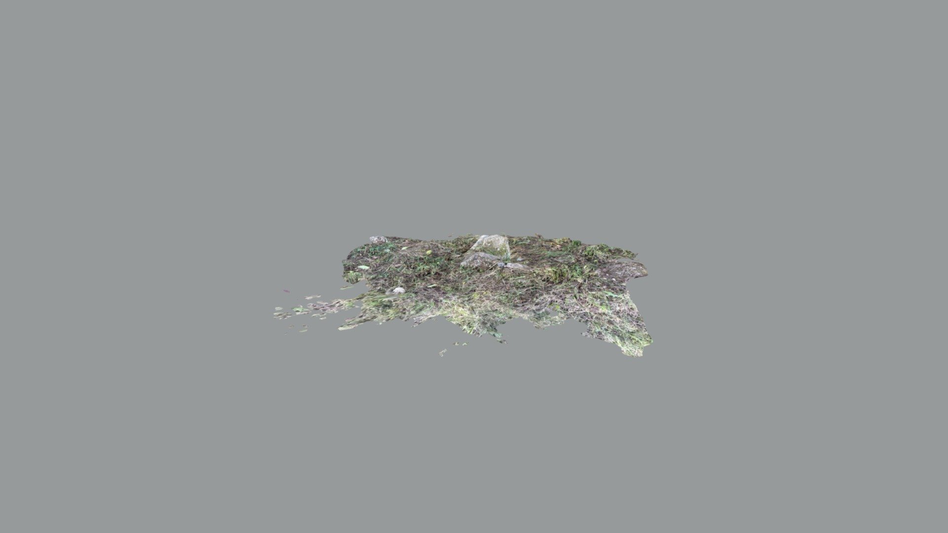 Stone in grass (iPad Pro scan)