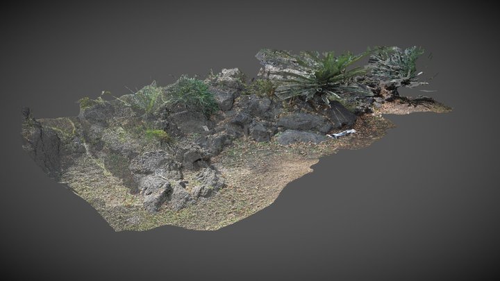 Ply 3D models - Sketchfab