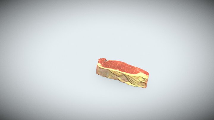 EinScan HX Rapid Steak 3D Model