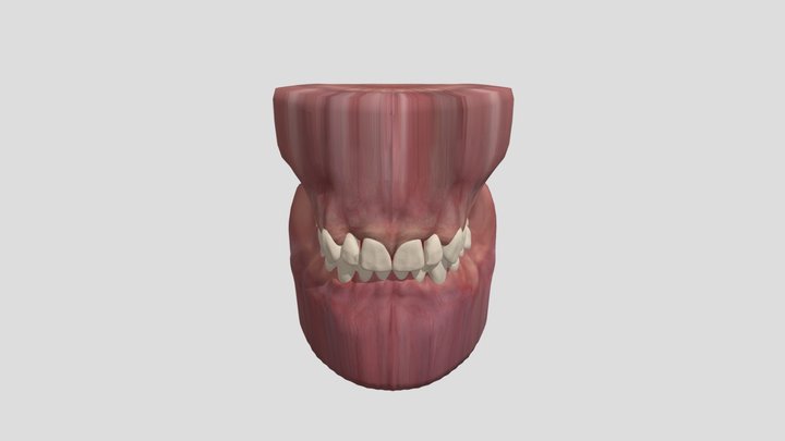 PBL - Caso 4 3D Model