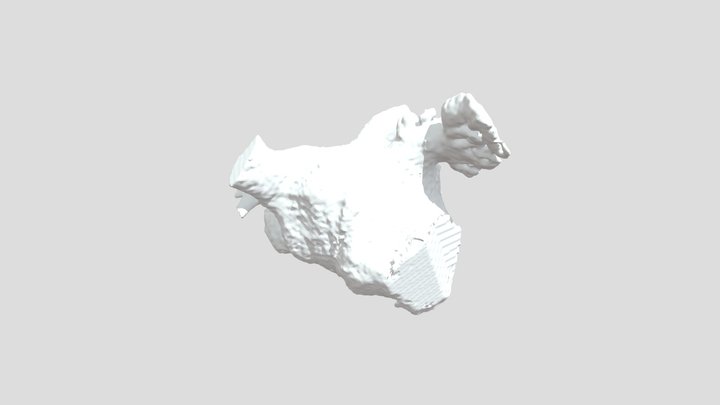 CT_LA_NAZ 3D Model