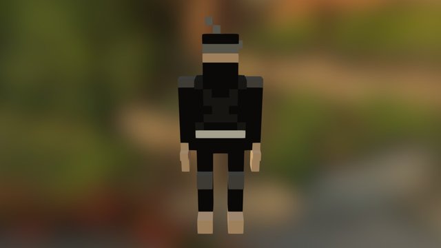 [Project Catnip] Voxel Ninja 3D Model