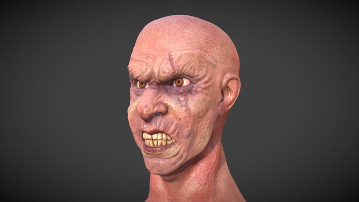 Human Head 3D Model