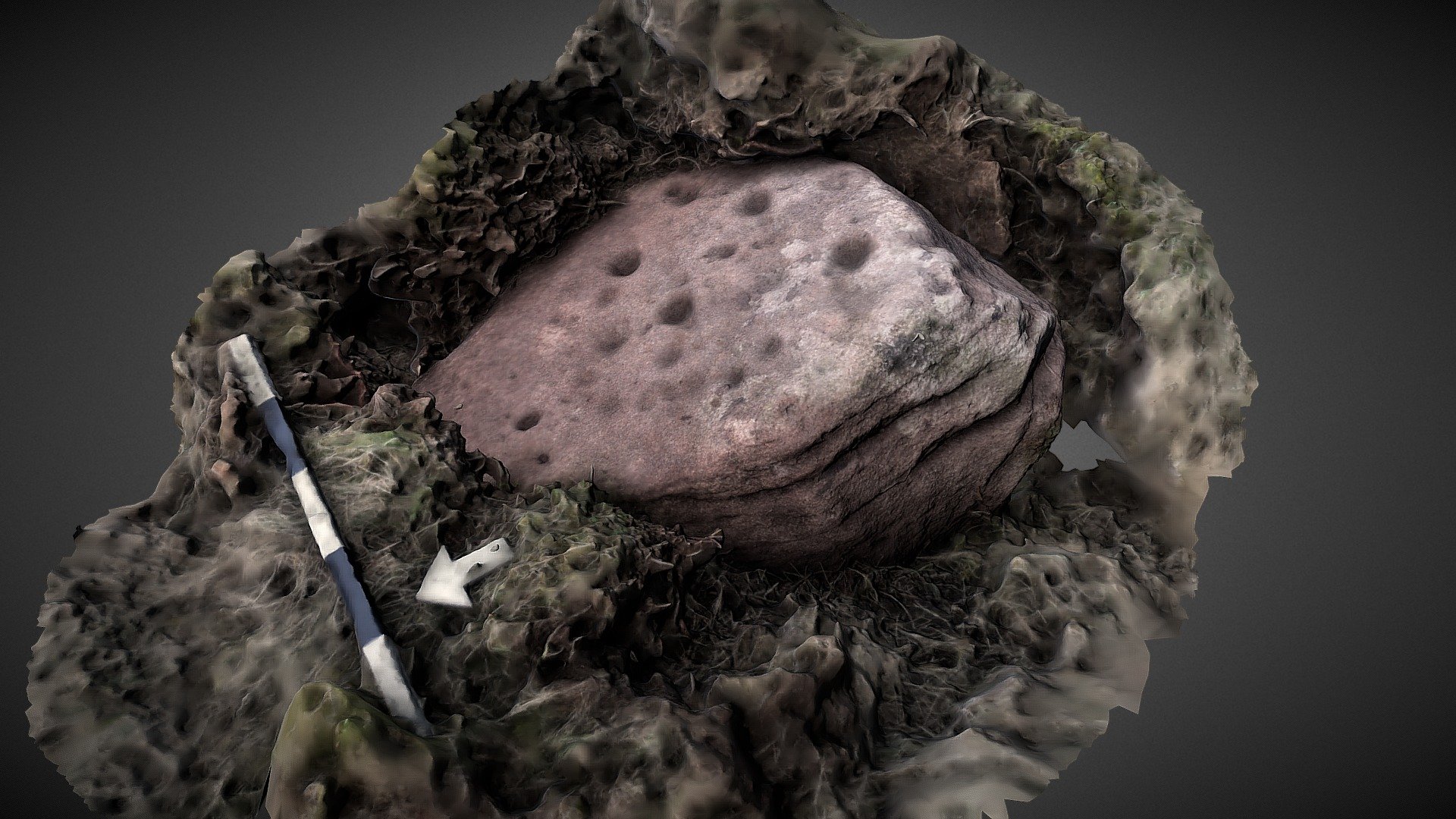 'Ark Hill 2', Glamis, Scotland