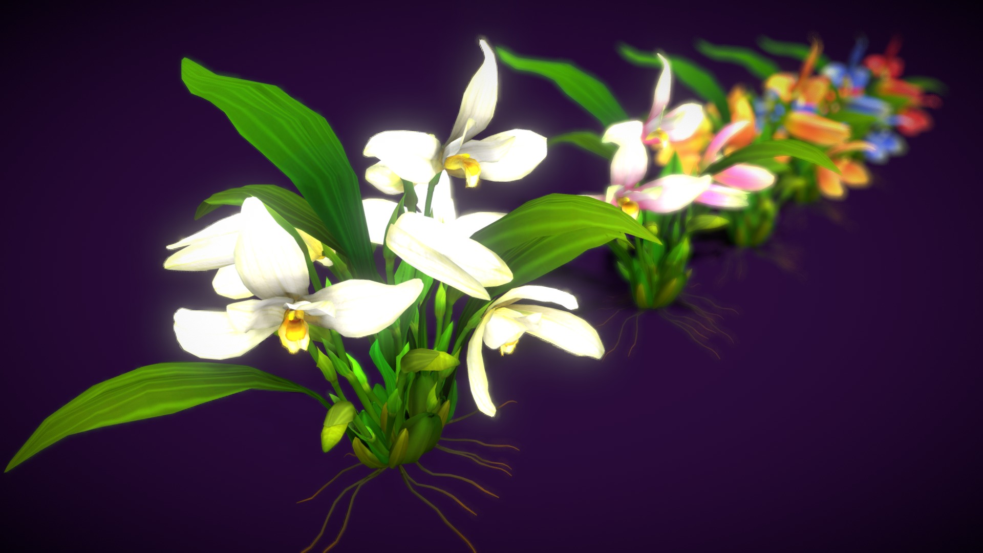 3D model Flower Guatemala Lan Lycaste - This is a 3D model of the Flower Guatemala Lan Lycaste. The 3D model is about a close-up of some flowers.