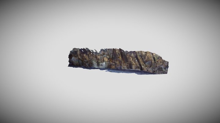 Geobotica data - Rock wall 3D Model