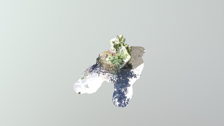 A TRNIO Model 3D Model