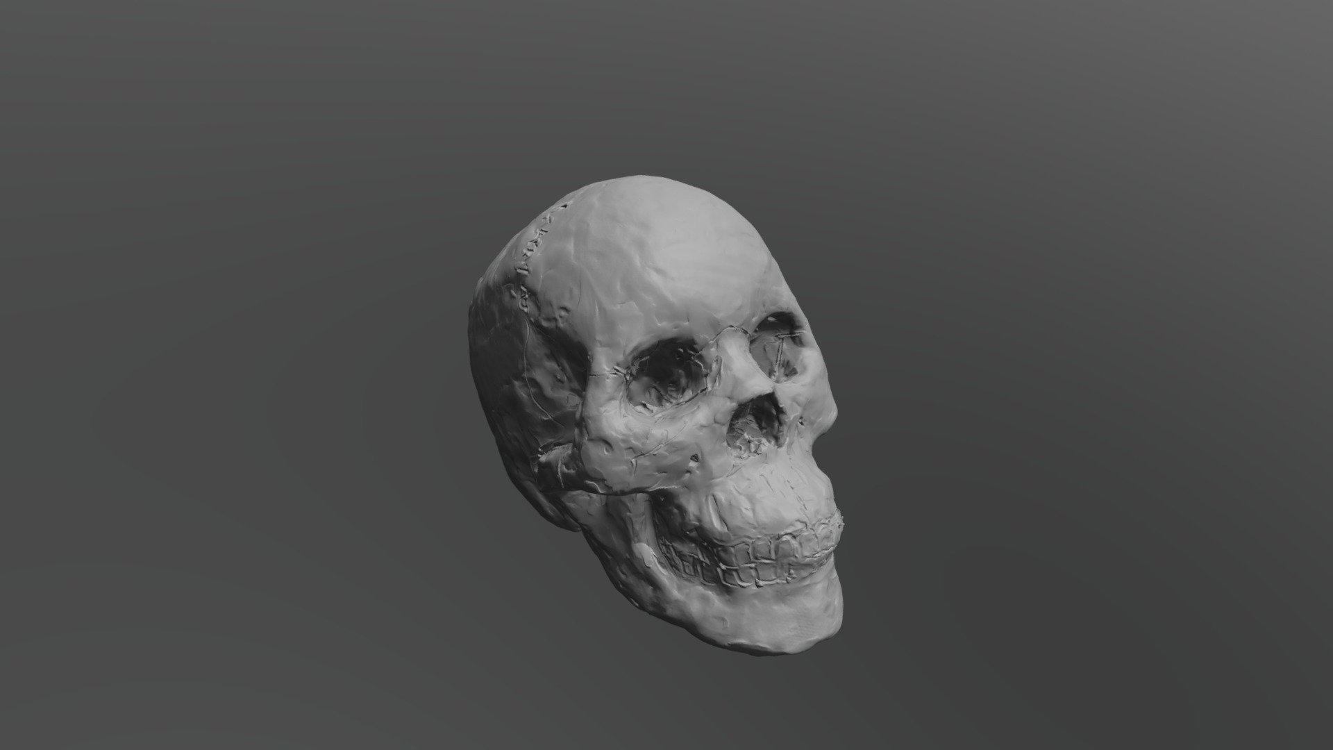 Skull by Katharine Kuharic
