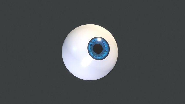 Eye 3D Model