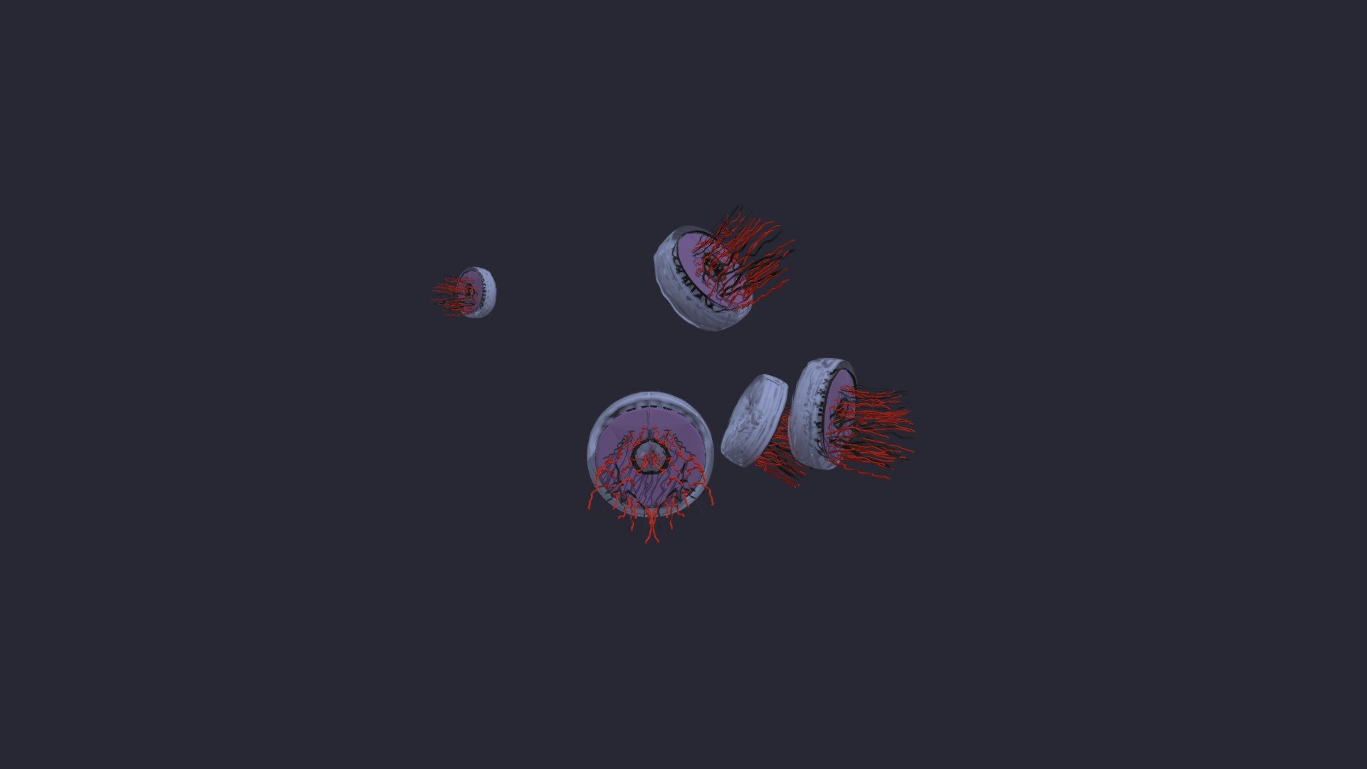 Halitrephes Maasi jelly