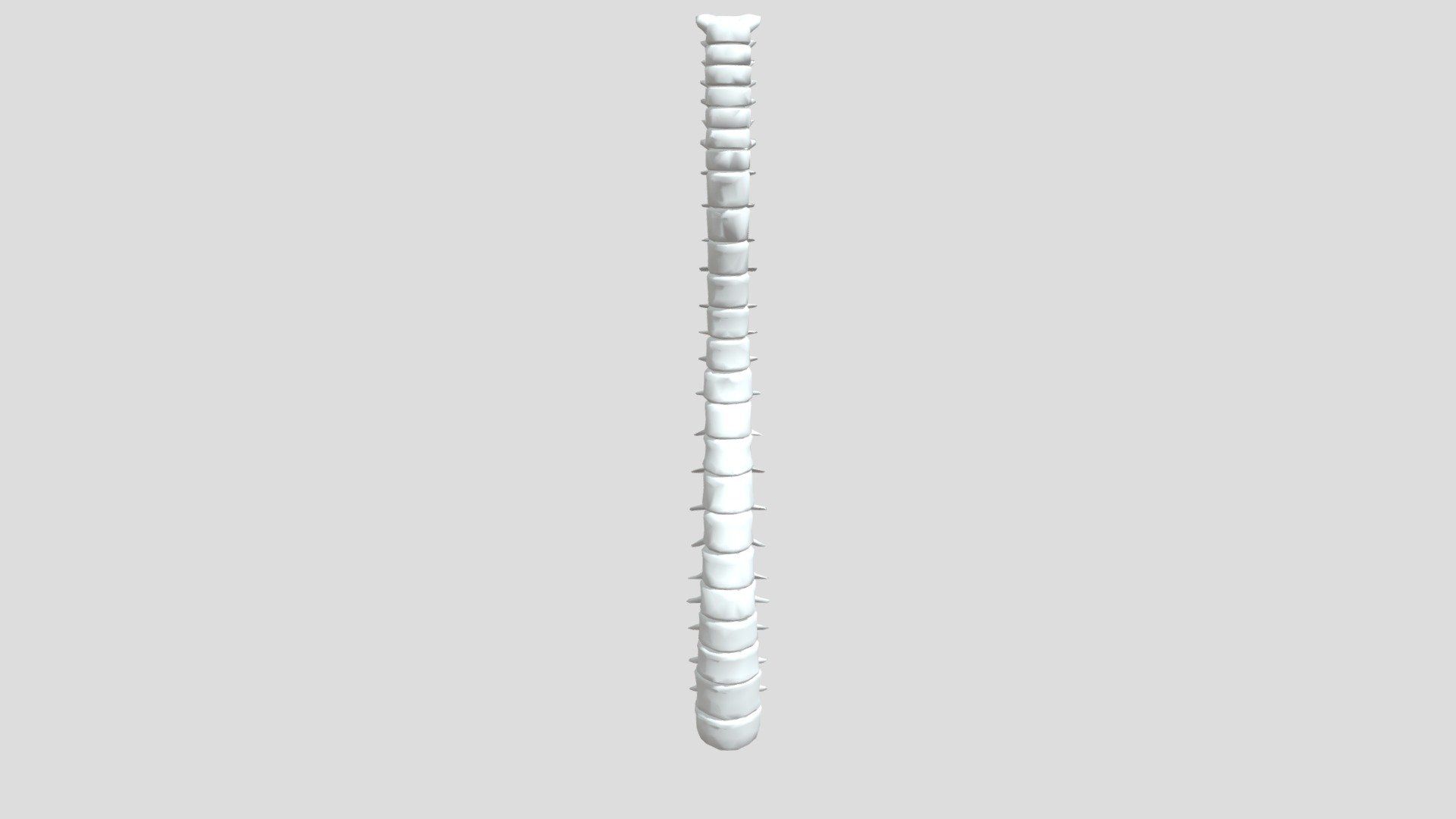 Spine 10393 Download Free 3d Model By Saravananm4594 [f5409d5