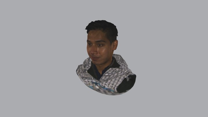 RHNDP227 3D Model