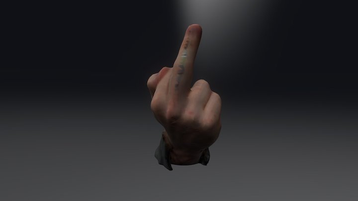 "Flipping the bird" 3D Model