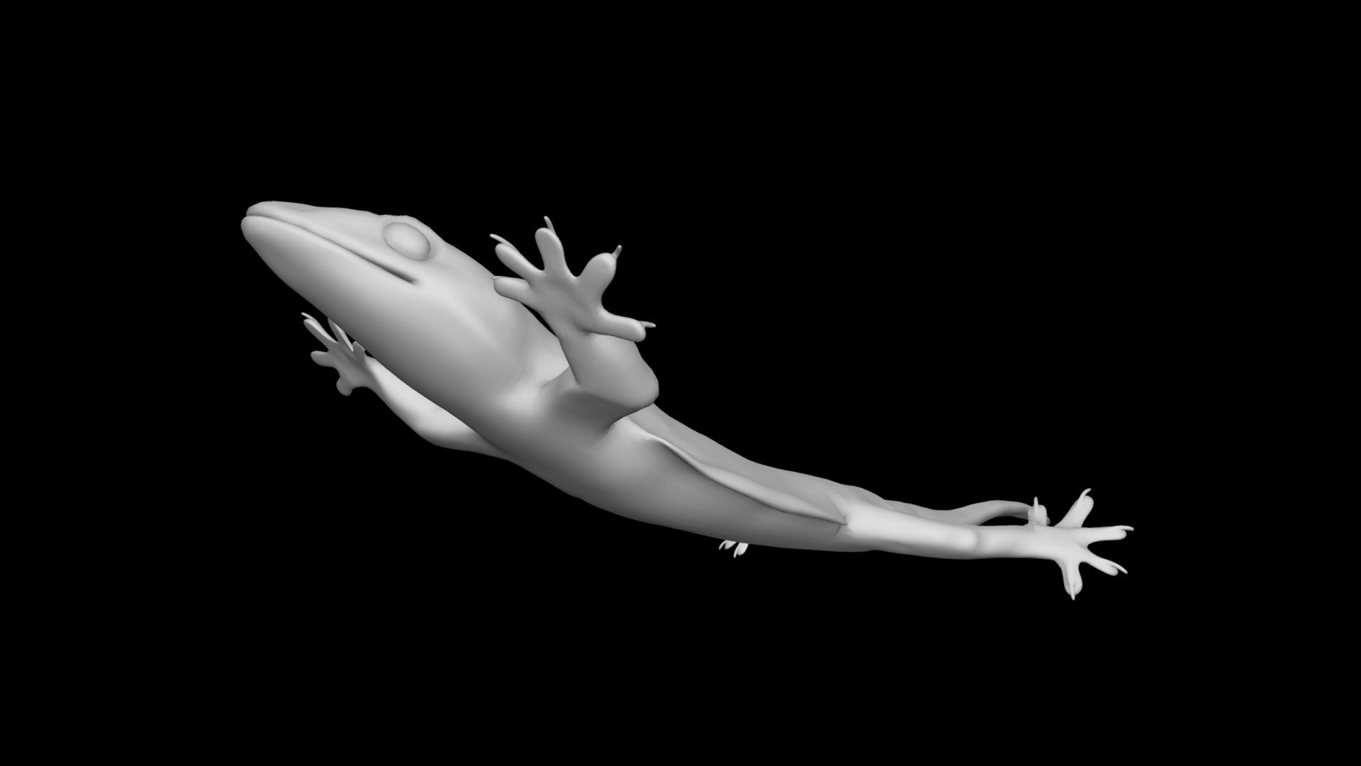 Model 80 - Hemidactylus platyurus - gliding pose