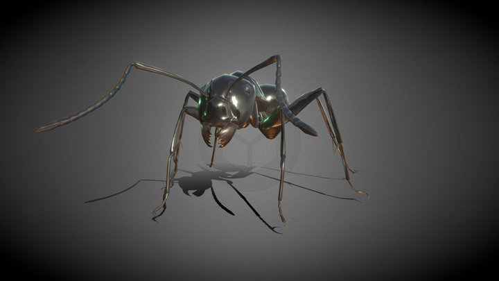 Black Garden Ant 3D Model