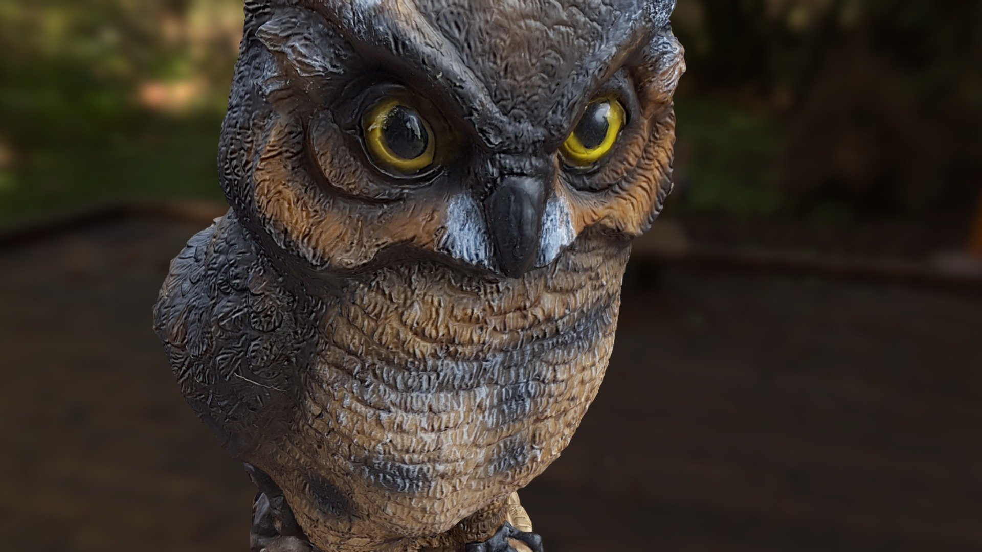 Owl 3d | Hot Sex Picture
