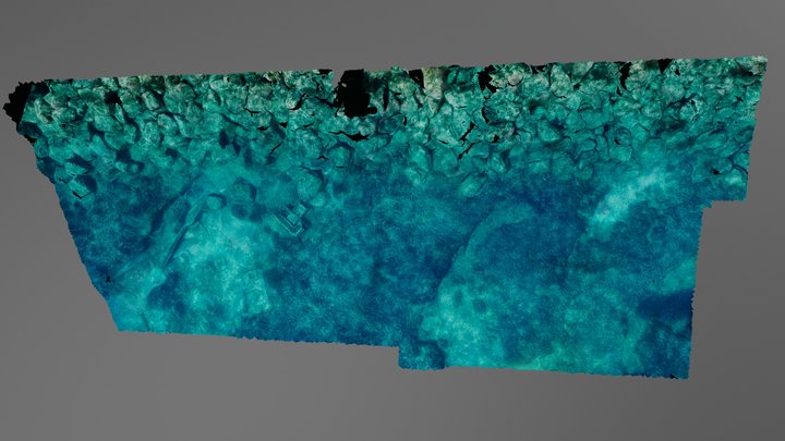 Underwater dike and seagrass meadow 3D Model