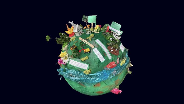 Amazon Rainforest 3D Model