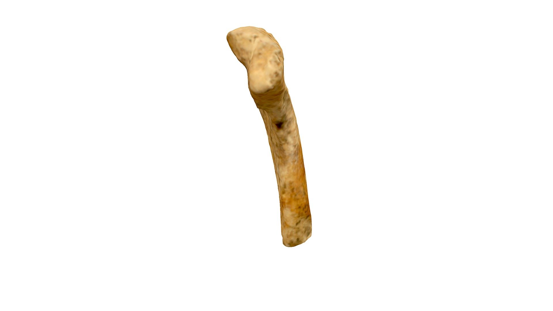 Qasr Hallabat Cistern Clavicle 3