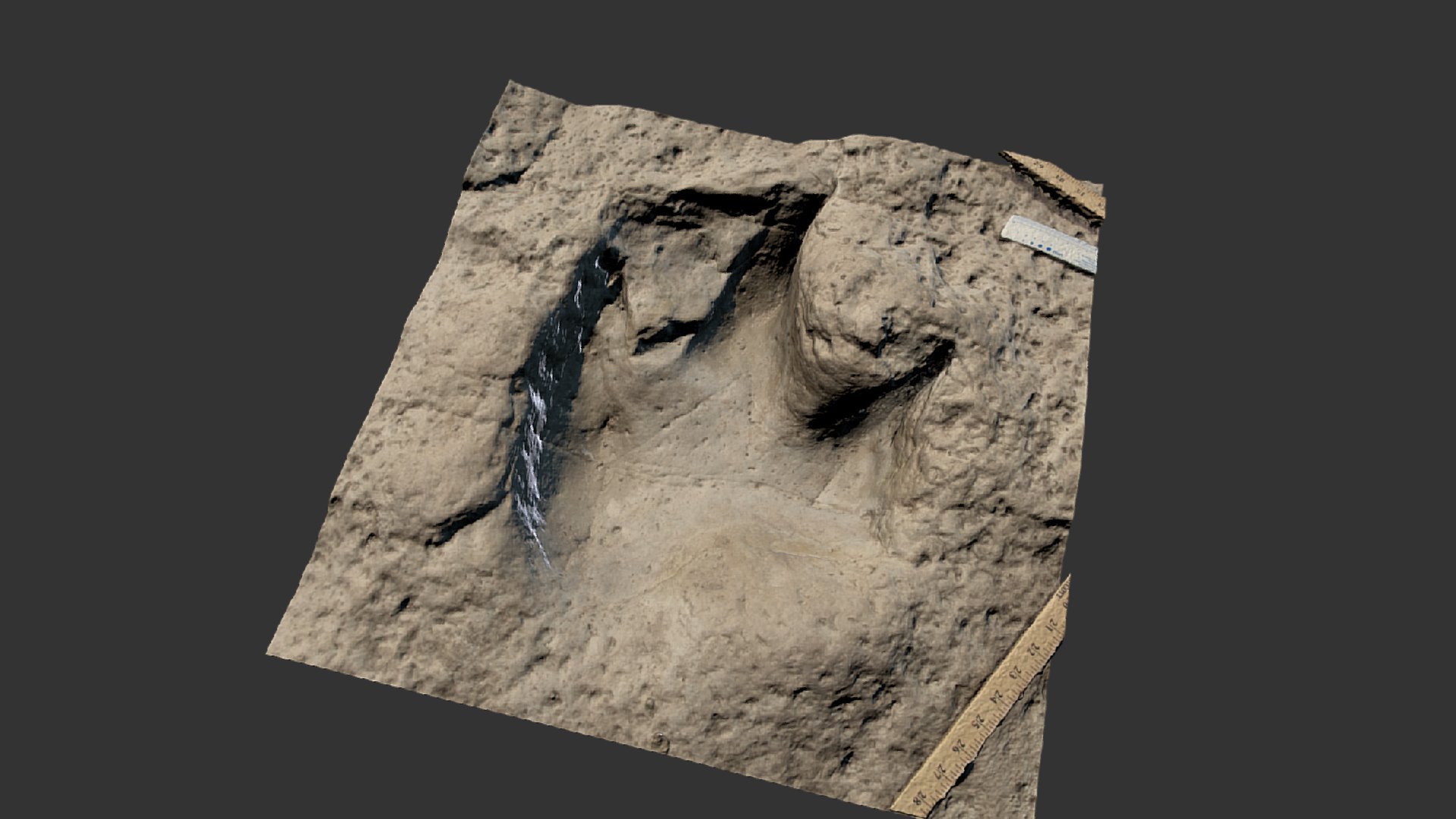 Dinosaur Track, Theropod, Glen Rose, Tx, USA