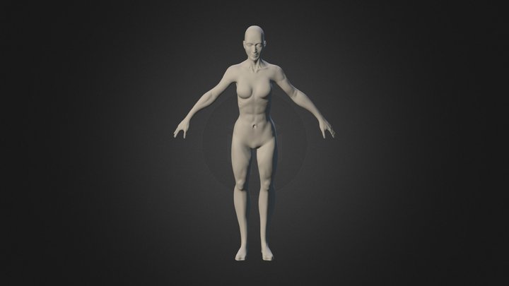 Anatomico 3D Model