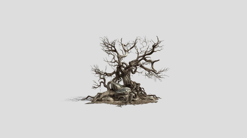 Rootbound Majesty Tree Free