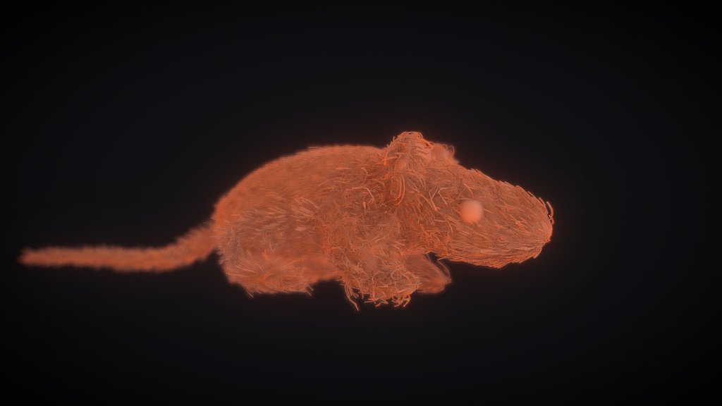 Furry Mouse Sculpt