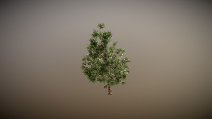 Quick TreeIt Tree 3D Model