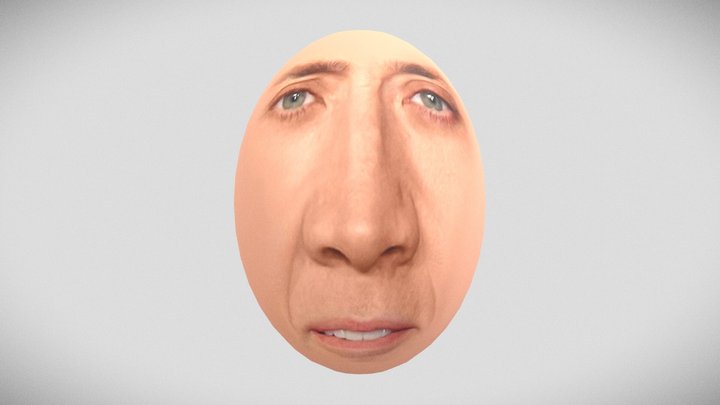 Nic Cage Egg 3D Model