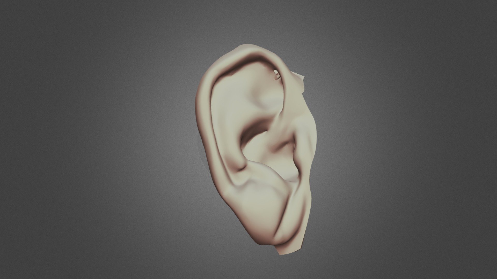 Scanned Human Ear - 3D model by Patrick Thorn (@patrickthorn) [f5657ed ...