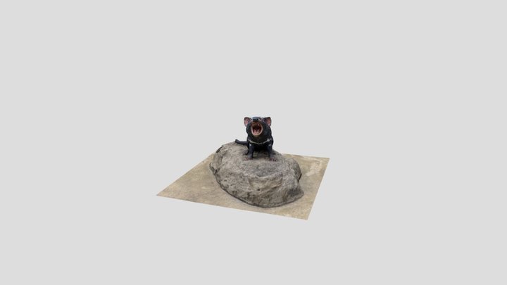 Tasmanian Devil 3D Model