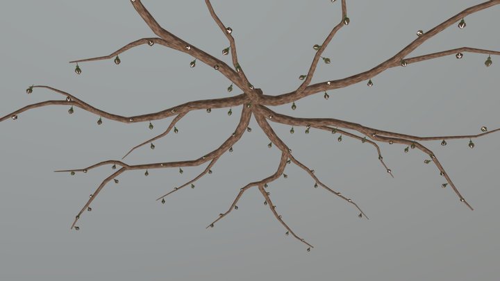 Cherry Tree13 Stage1 3D Model