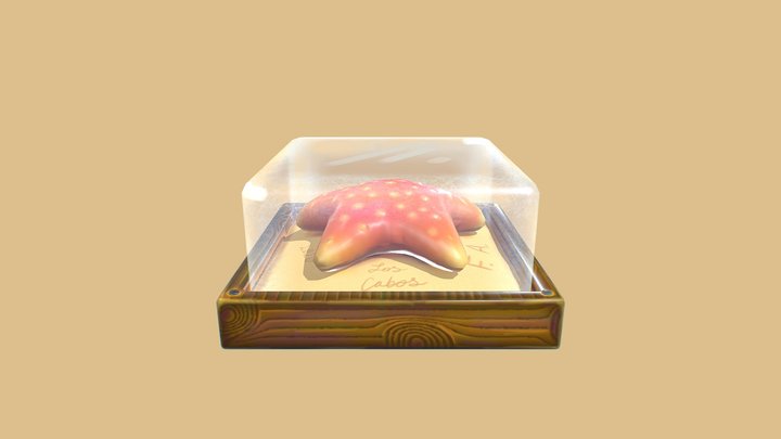 Starfish Souvenir 3D Model