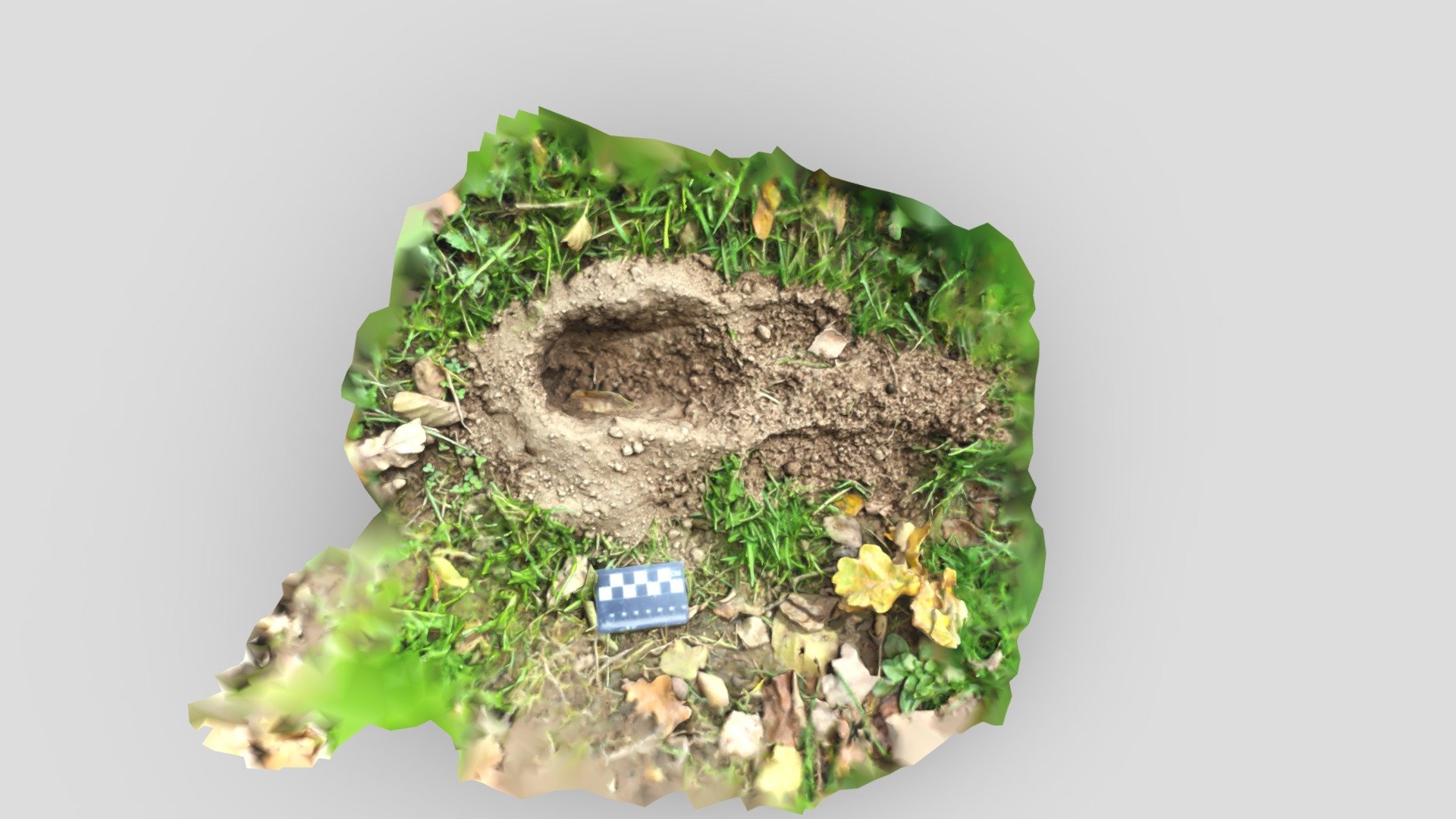 Rabbit Dig Trace Download Free 3D model by PeterFalkingham