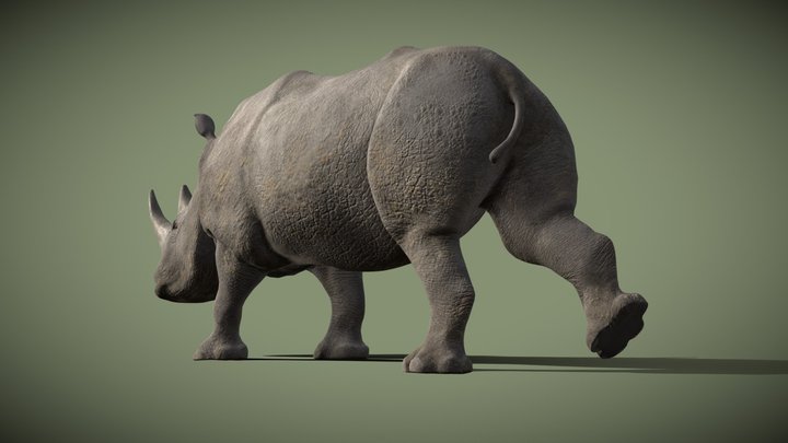 White Rhinoceros 3D Model