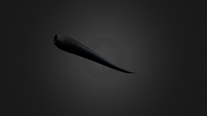 Base Tail – Modello 3D gratuito STL