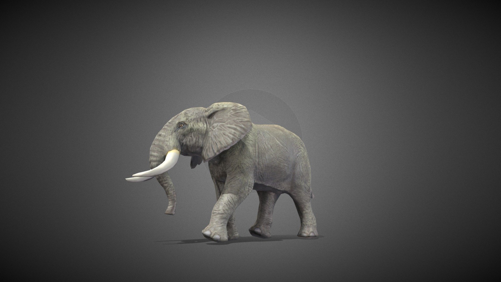 Elephant - Download Free 3D model by Stephengury [f57057a] - Sketchfab