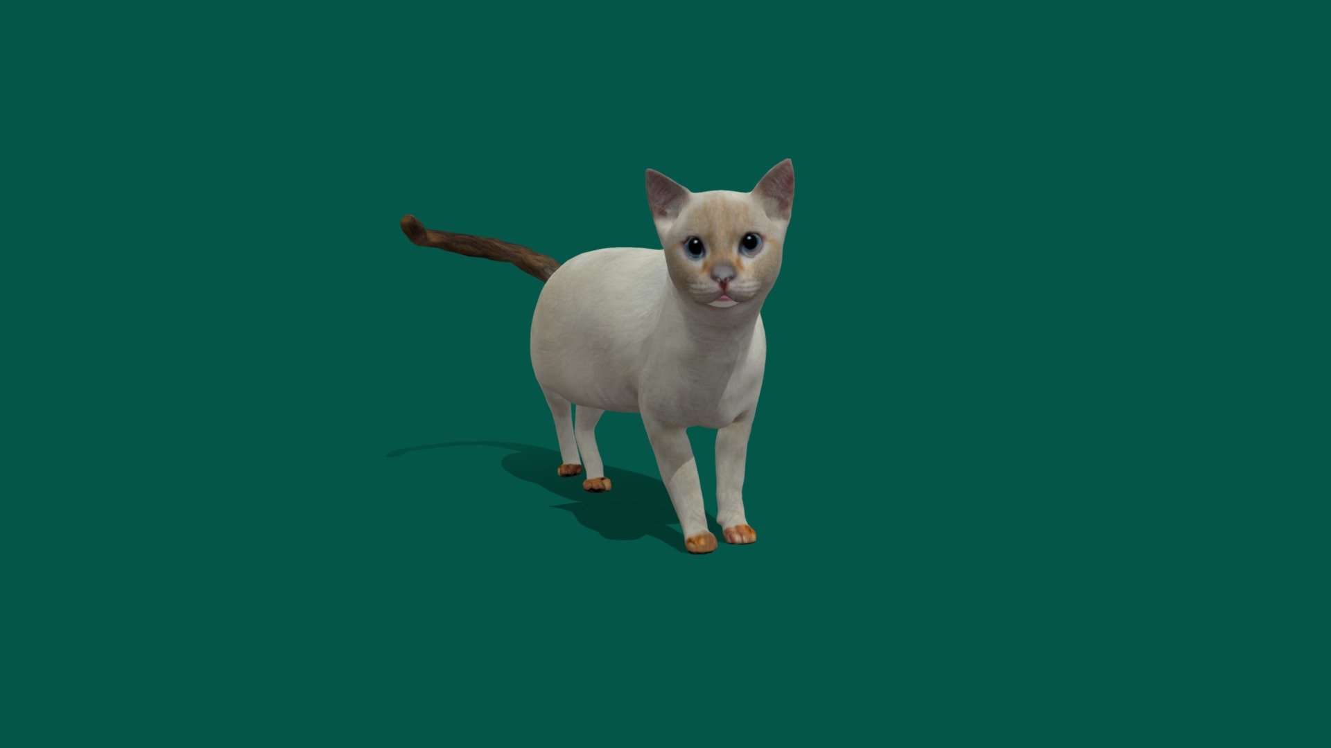 Flame Point Siamese Cat - 3D model by Nyilonelycompany [f5719aa ...