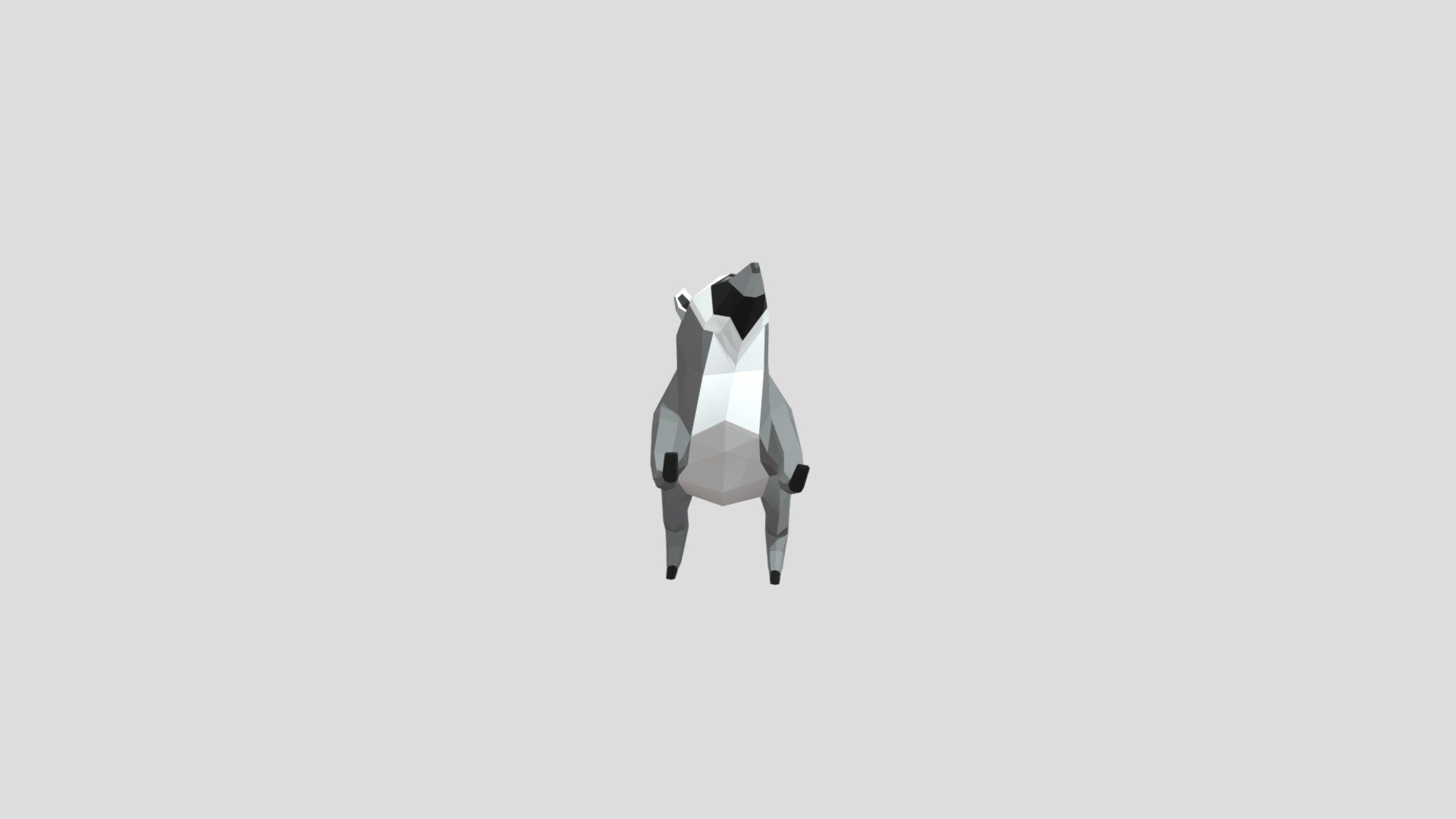 LowPoly Racoon