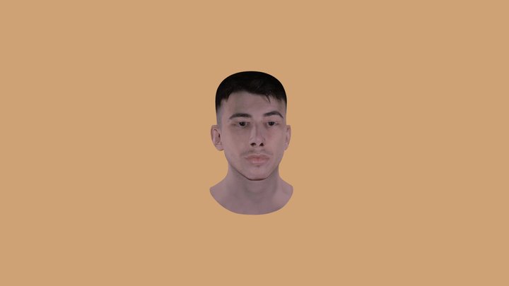 face final test 3D Model