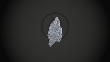 Trace Fossils from the Wealden 3D Model