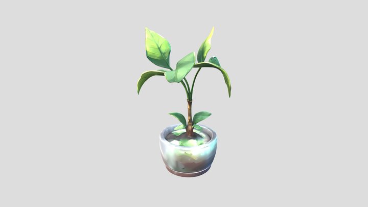 A small potted green plant 3D Model