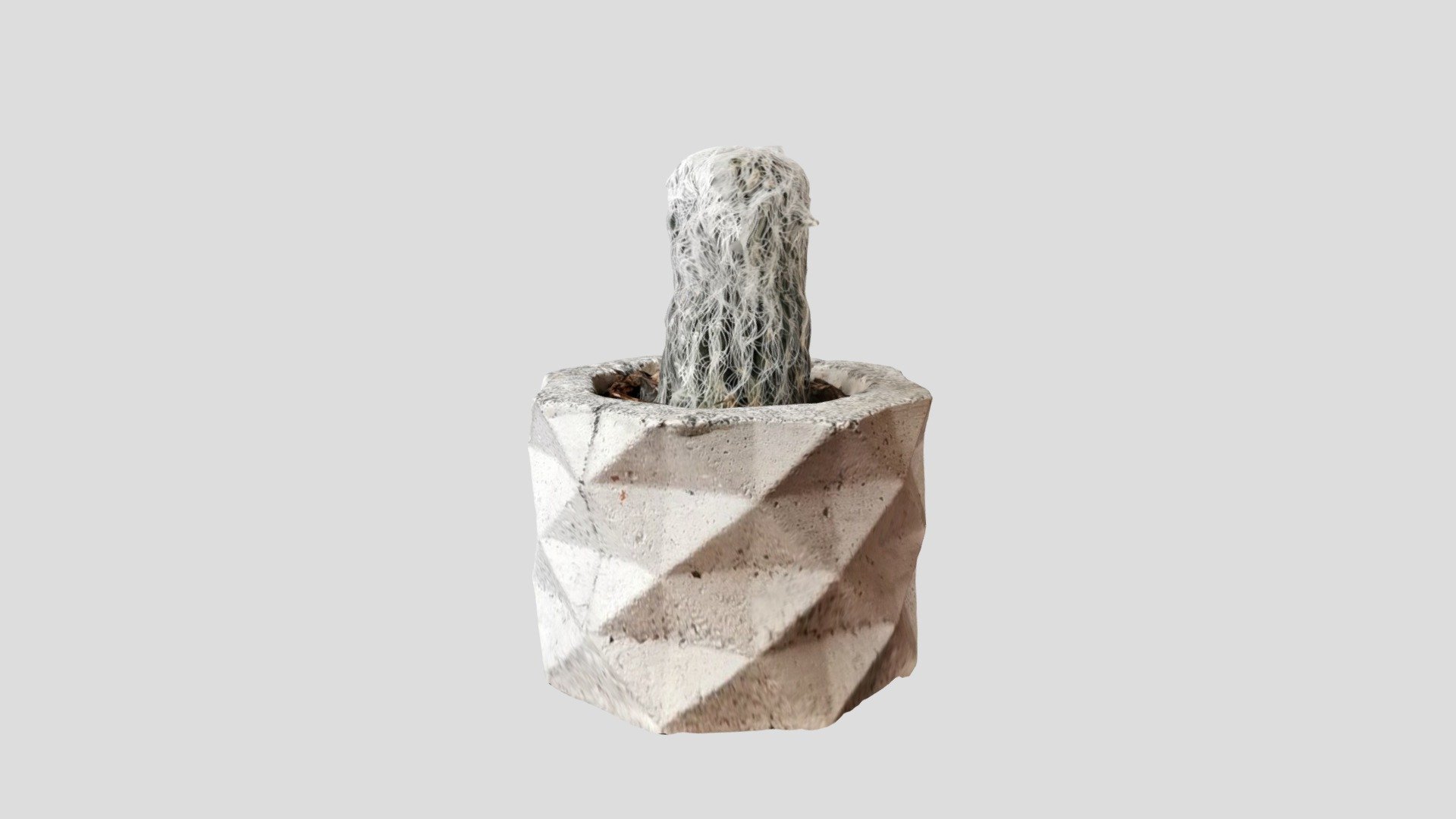 Eugenio_Photogrammetry_3DScannerApp