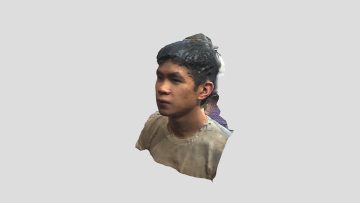 3D Model_ Low Poly 3D Model